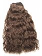 14  Super Remy French Curl by WigPro (1 PC) | Remy Human Hair Extensions | CLOSEOUT Online