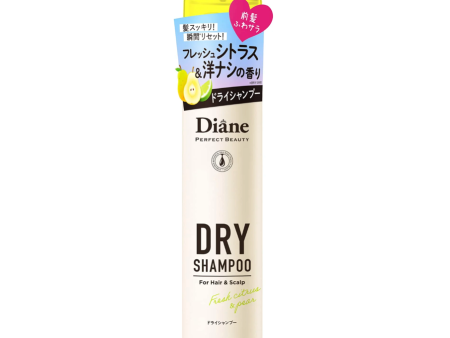 DIANE Perfect Beauty Dry Shampoo (Fresh Citrus & Pear) 黛丝恩 致美零粉感隐形干洗发喷雾 (新鲜柑橘&梨) 95g Supply