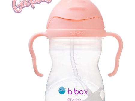 B.Box Sippy Cup Gelato - Tutti Frutti (NEW) Supply