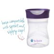 B.Box Training Cup - Grape Online now